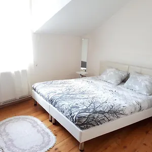  公寓 Apartment In Besiki Business Center